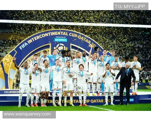 足球明星罗尼的辉煌荣誉与传奇生涯回顾